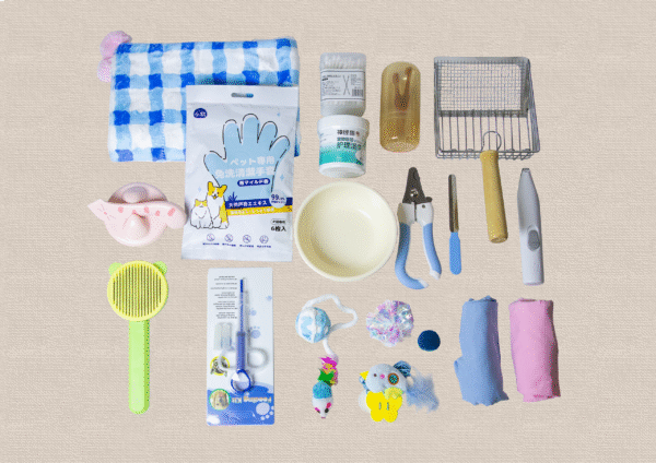 Suitcase Starter Pack - Image 2